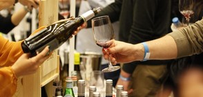 Българското вино се събира отново на DiVino.Taste (СНИМКИ)