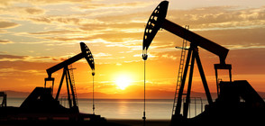 Цената на петрола скочи с 5%