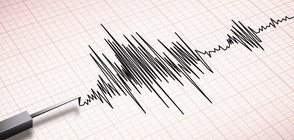 Трус от 4,3 по Рихтер в Северна Гърция (ВИДЕО)