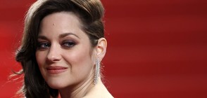 Марион Котийяр разказа за екранния секс с Брад Пит (ВИДЕО+ГАЛЕРИЯ)