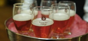 Белгийската бира и кубинската румба кандидатстват за ЮНЕСКО