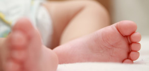 Годишно у нас се раждат преждевременно над 6 000 бебета (ВИДЕО)