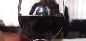 Започва най-големия форум на българското вино
