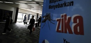 СЗО отмени извънредното положение във връзка със Зика