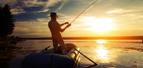 ЗА НИКУЛДЕН: Разнообразна риба на ниски цени