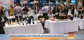 Започна най-голямото изложение на български вина