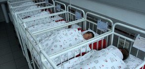 Кои са най-разпространените имена сред бебетата в България?