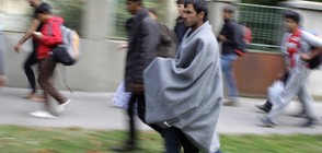 Загинал и ранен при сбиване на мигранти в Белград