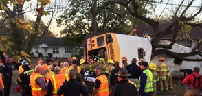 Училищен автобус катастрофира в САЩ, има загинали (СНИМКИ)