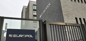 Европол арестува 178 "мулета" и перачи на пари