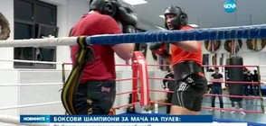 Боксови шампиони за мача на Кубрат Пулев