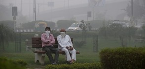 Мръсният въздух причинява смъртта на близо 500 000 европейци годишно