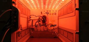 Създадоха пробна оранжерия за полета до Марс (СНИМКА)