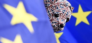 Британците, гласували против Brexit, ще си купуват гражданство в ЕС?