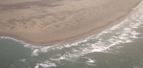 Седем души загинаха при корабокрушение край Нова Зеландия (ВИДЕО)