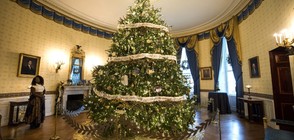 Коледната украса на Белия дом - 63 елхи и 65 000 орнамента (СНИМКИ)