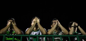 Сърцераздирателни факти за загиналия бразилски футболен отбор (ВИДЕО+СНИМКИ)