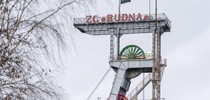 Осем са загиналите миньори след земетресение в Полша