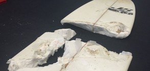 Акула нападна сърфист (ВИДЕО+СНИМКА)