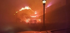 Седем са вече жертвите на горските пожари в Тенеси (ВИДЕО+СНИМКИ)