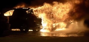 Палежи на коли в Стокхолм (ВИДЕО)