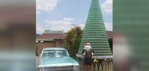 Австралиец направи елха от бирени кенчета (ВИДЕО)