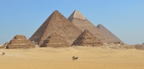 Откриха мумифицираните крака на кралица Нефертари