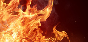 Голям пожар избухна в маслобойна в Харманли (ВИДЕО)