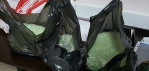 СПЕЦАКЦИЯ В БУРГАС: Хванаха дилъри с близо 6 килограма екстази (СНИМКА)