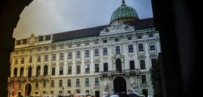 Австрия избира президент