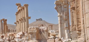 Русия, Германия и Интерпол ще търсят на черния пазар артефакти от Палмира