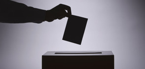 Александър Ван дер Белен печели изборите за президент в Австрия (ВИДЕО)