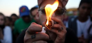 И Уругвай открива музей на марихуаната