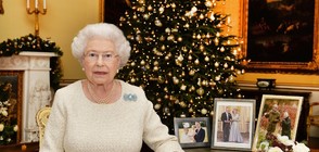 Восъчните фигури на британското кралско семейство – с коледна премяна (СНИМКИ)