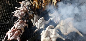 ЕС забрани вноса на пилешко от Украйна