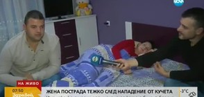 Жена със счупени прешлени след нападение от бездомни кучета