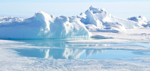 Арктическият лед е с рекордно ниски стойности и през ноември