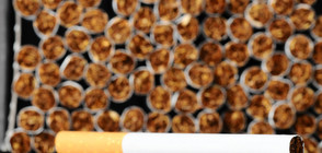 Митниците отчетоха спад в незаконната търговия с цигари