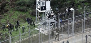 Щурм на мигранти на границата между Мароко и Сеута (ВИДЕО)