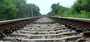 От "Моята новина": Сблъсък между влак и кола (СНИМКА)