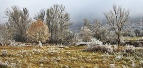 Новата седмица носи захлаждане и слаб сняг