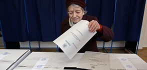 Социалдемократите печелят изборите в Румъния