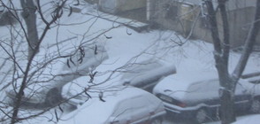 Сняг натрупа в Северна България (ВИДЕО+СНИМКИ)