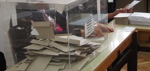 Повторно преброяват бюлетините за референдума в част от секциите