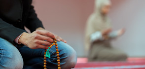 ПРОУЧВАНЕ: Европа надценява големината на мюсюлманските си общности