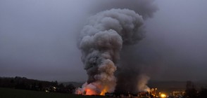 Пламъци обхванаха фабрика за рециклиране в Германия (СНИМКИ)