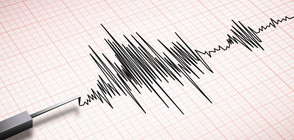 4,5 по Рихтер разлюля Полша