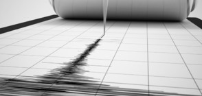 Земетресение от 5,7 по Рихтер в Калифорния
