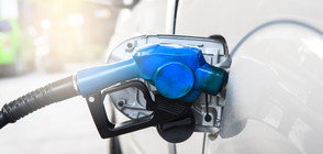 На какво се дължи разликата в цените на горивата?