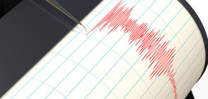 Земетресение от 7,9 по Рихтер разлюля Папуа Нова Гвинея